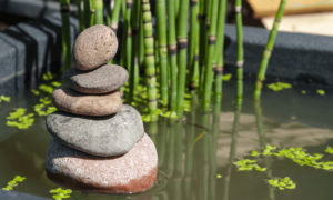 Gartengestaltung Feng Shui