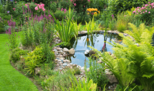 Gartenteich gestalten
