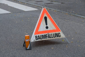 Baeume selber faellen