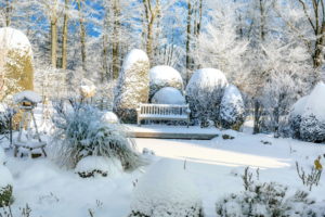 Garten im Winter pflegen