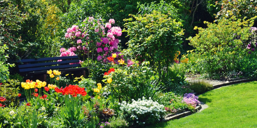 Gartenbepflanzung