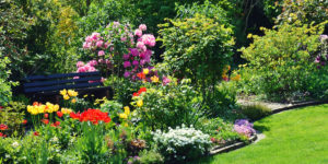 Gartenbepflanzung