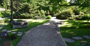 schattenpflanzen garten