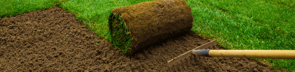 rollrasen richtig verlegen rollrasen richtig verlegen